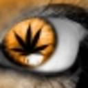 GOG profile picture for @FlaT