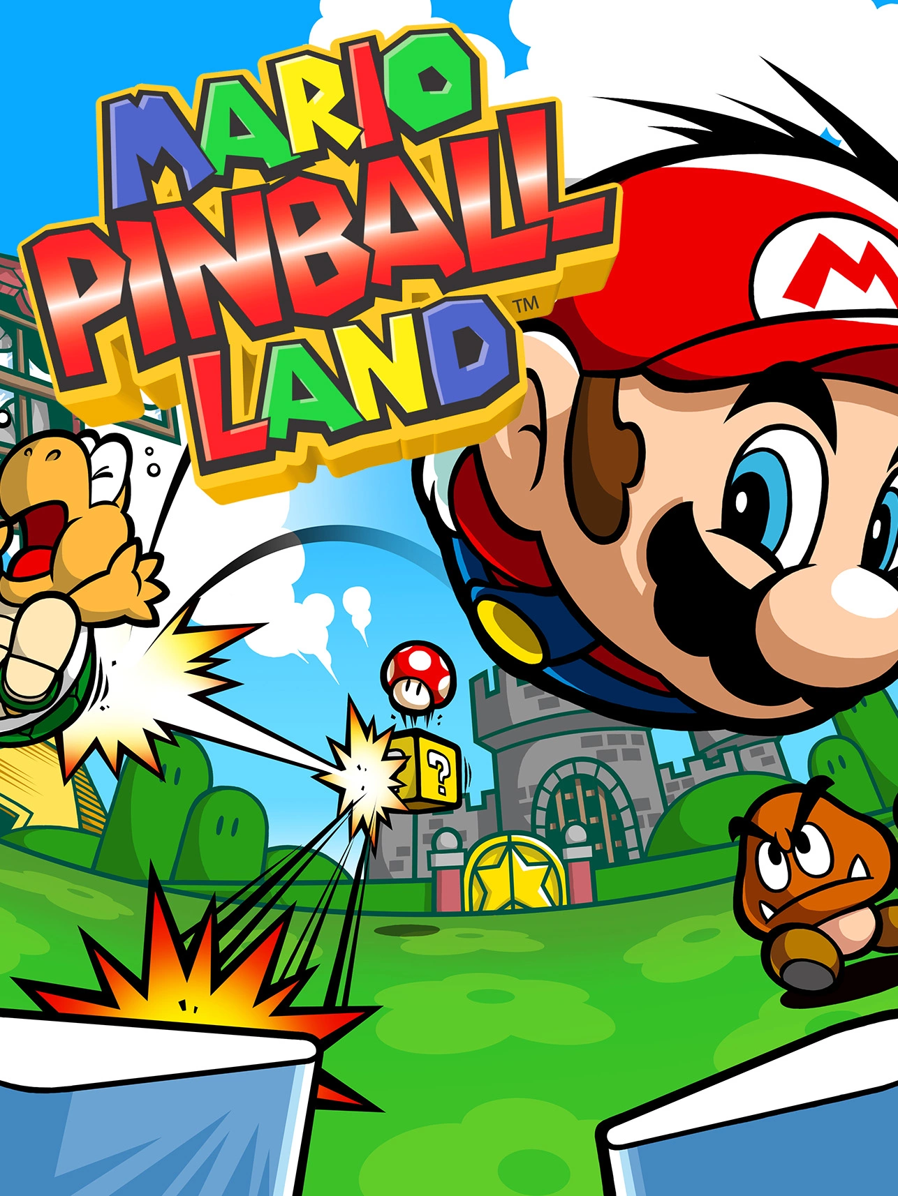 Mario Pinball Land